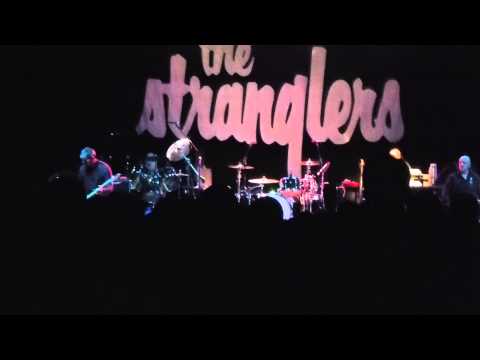 Stranglers - Genetics - Salisbury 2013