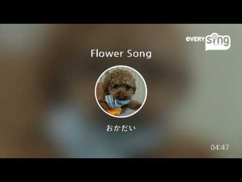 [everysing] Flower Song