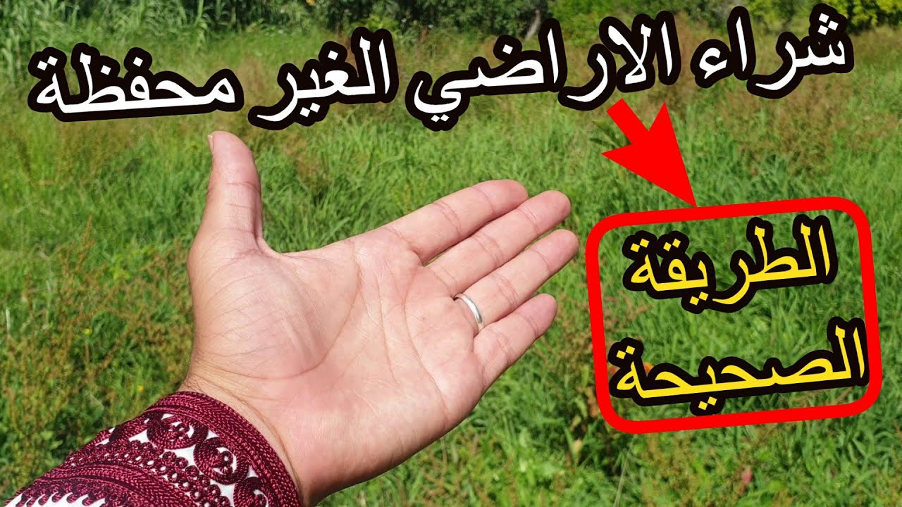 ✨لا تشتري الاراضي الغير محفظة قبل مشاهدة هذا الفيديو ✨ اراضي الملكية العدلية