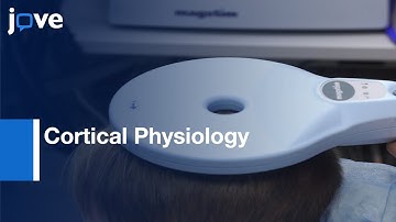 TMS for measuring Cortical Physiology with Response Inhibition | Protocol Preview