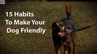 15 Habits To Make Your Dog Friendly by Samantha's Animal Facts 47 views 3 years ago 6 minutes, 34 seconds