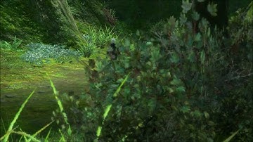 【FFXIV】 Lancer sidequest "A wailing welcome" [LNC R20]