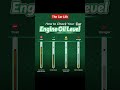 How to check Car engine oil level with Dipstick #car #automobile #engine #mechanic #shorts #engine