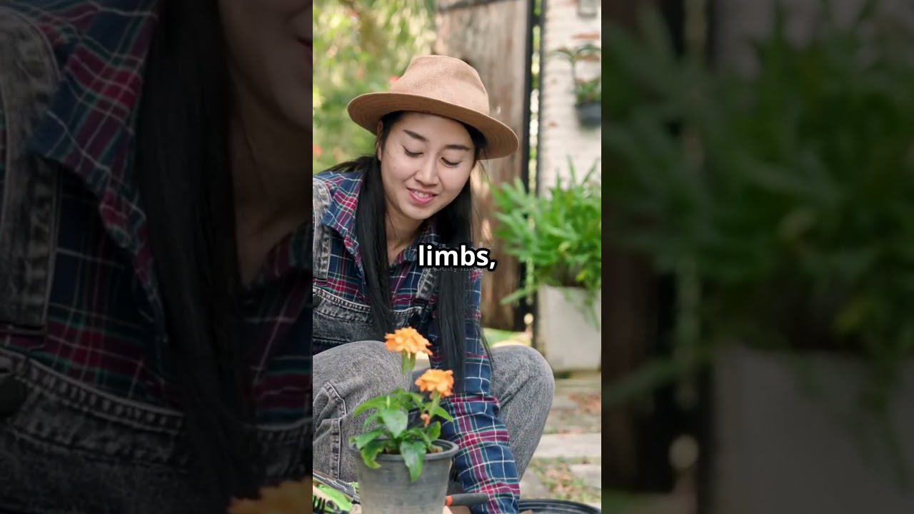 Black Lotus Art – Forbidden Style: Death Seed Bloom