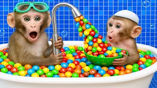 Download Lagu Affe Bon Bon dreht den Wasserhahn auf und magisch bunte M\u0026M Süßigkeiten kommen heraus 🍬🚿🐵 MP3 Download Lagu Affe Bon Bon dreht den Wasserhahn auf und magisch bunte M\u0026M Süßigkeiten kommen heraus 🍬🚿🐵 MP3