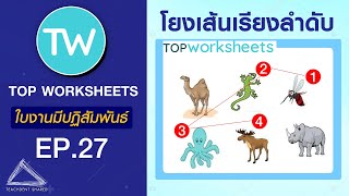 ใบงานแบบโยงเส้นเรียงลำดับ ไอเดียใหม่ ใช้ได้จริงทุกวิชา!!! | | TOP WORKSHEETS EP.27