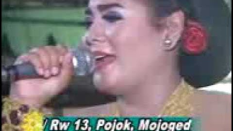 Tri Budaya "Semu"