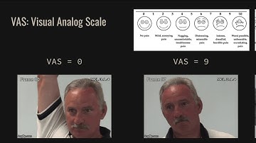 Pain Evaluation in Video using Extended Multitask Learning from Multidimensional Measurements