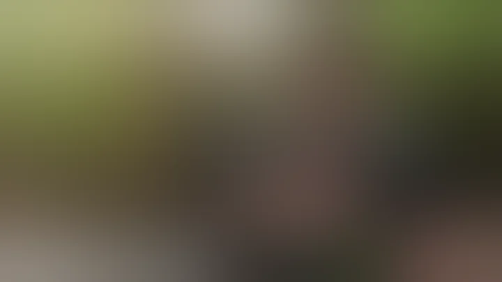 Why Colt's DOE Model 633 SMG Is Special & How A 9mm AR15 Beat The HK MP5K In Gov Trials