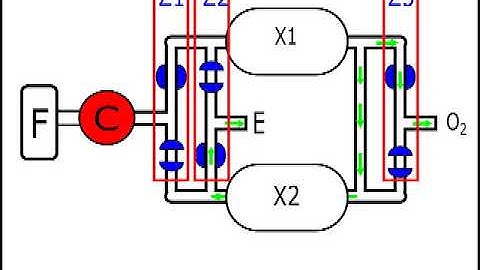 How an Oxygen Concentrator Works