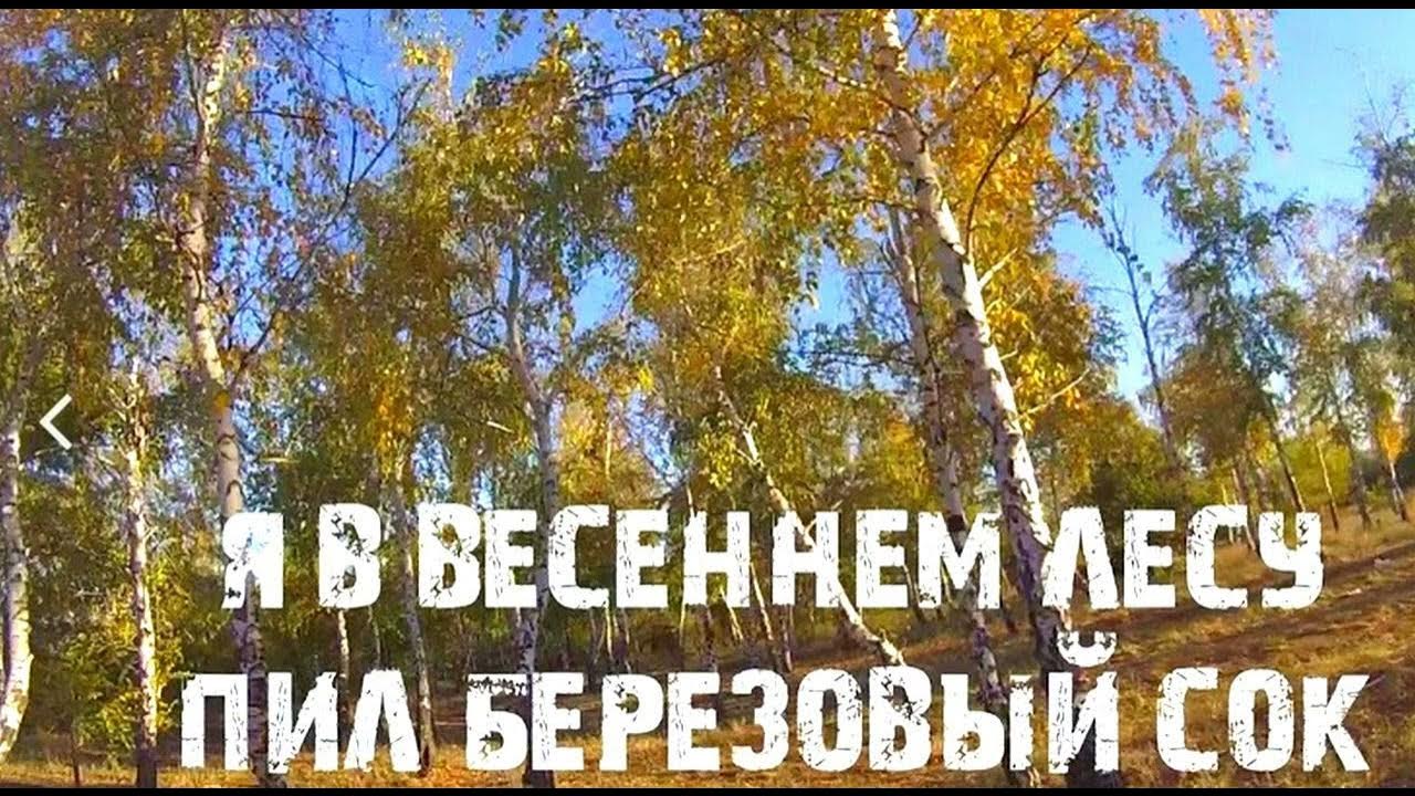 я в весеннем лесу пил березовый. я в весеннем лесу. пил березовый сок с ненаглядной. пил березовый сок с ненаглядной. пил березовый сок с ненаглядной.
