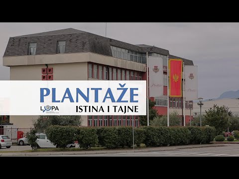 Lupa: Plantaže 13.jul - ISTINA I TAJNE, istraživački video HD