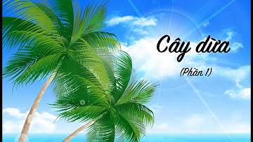 Cây dừa (Phần 1) -  Tiếng Việt lớp 2 (Chân trời sáng tạo) [OLM.VN]
