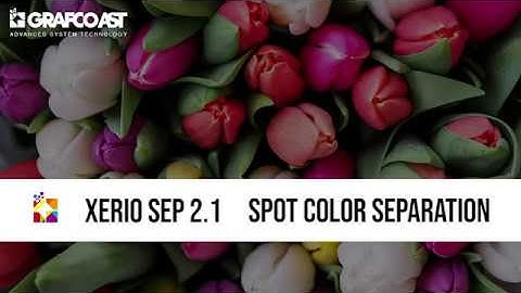 XerioSEP 2.1 FILE for INKJET PRINTING
