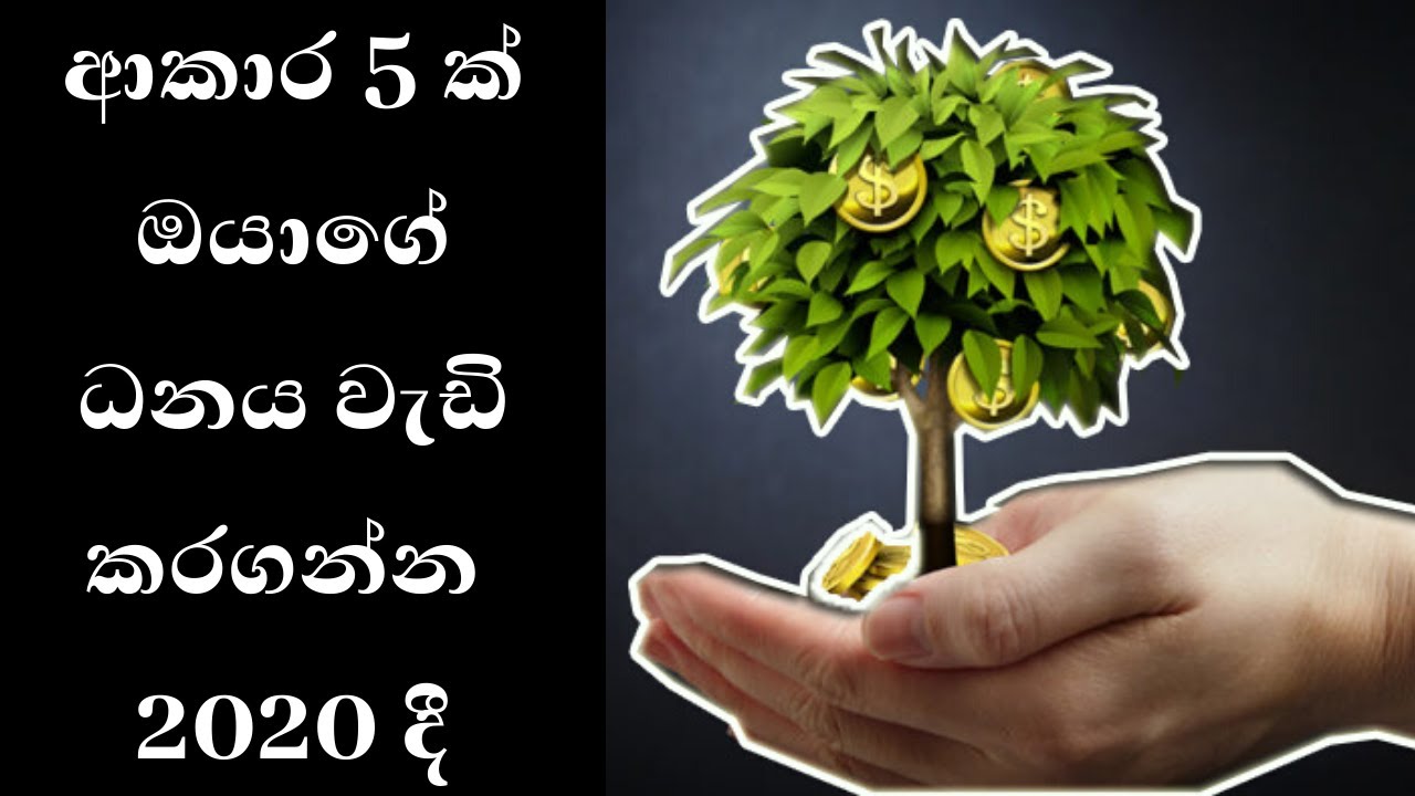 5 Ways to grow your wealth fast and steady - YouTube