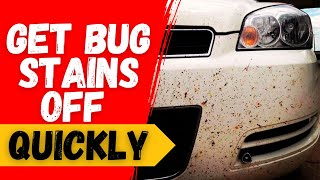 How to Clean Bug Stains Off Your Car in Minutes