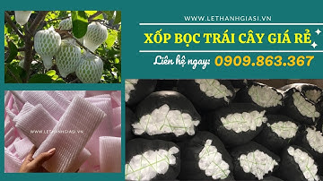 CHUYÊN SỈ XỐP BỌC TRÁI CÂY GIÁ RẺ NHẤT TẠI TPHCM