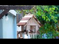 Make amazing wooden bird house and bird feeder