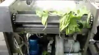 Vegetable Washergas Bath Type Cleaning Machinehow To Wash Or Clean Vegetables