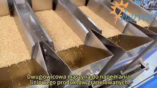 Double head granule linear type filling machine, Automatic 4 Head Linear Weighing Filler Machine