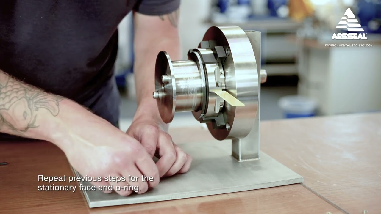 AESSEAL® RDSX Installation Instructions