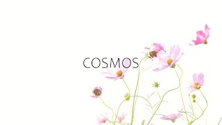 COSMOS / IA