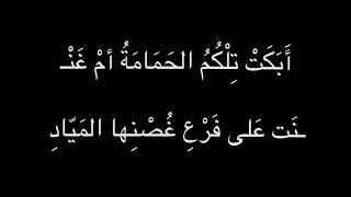 غير مجد في ملتي واعتقادي