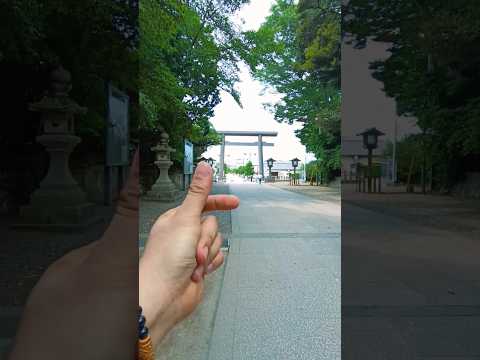 Visiting Japan (Kashima Jingu Shrine)1  #Japan #shorts #japantravel