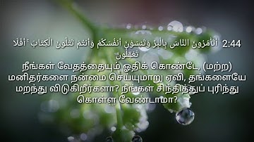 Umair Shamim Surah Baqara 2: 44-48 | tamil