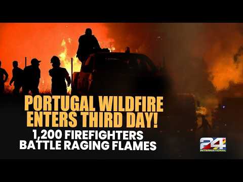 Portugal Wildfire Rages into Third Day; 1,200 Firefighters Battle Vouzela Blaze