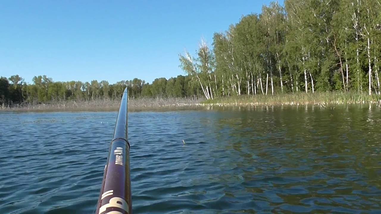 Рыба в челябинских озерах. Озеро Увильды рыбалка. Рыбалка на озере Увильды Челябинская область. Увильды Челябинская рыба. Рипус Увильды.