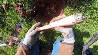 LIVE DIG ACTION!! Simplex in mushy park with Jim