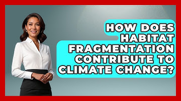 How Does Habitat Fragmentation Contribute to Climate Change? | Explaining Ecology News