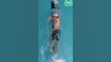 The 4 ways to swim freestyle