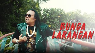 Harry  Bunga Larangan (Official Music Video)