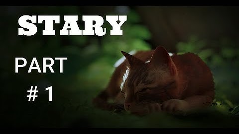 STRAY  Walkthrough Gameplay Part 1 - INTRO (FULL GAME)