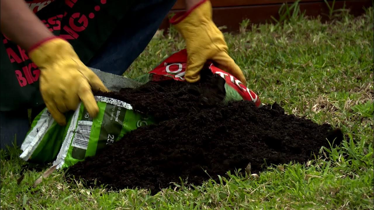 How To Top Dress Aerate Your Lawn D