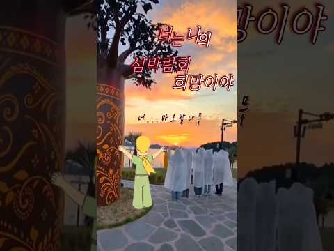 ✨너는 나의 섬박람회 희망이야, 너... 바오밥 나무🌳
