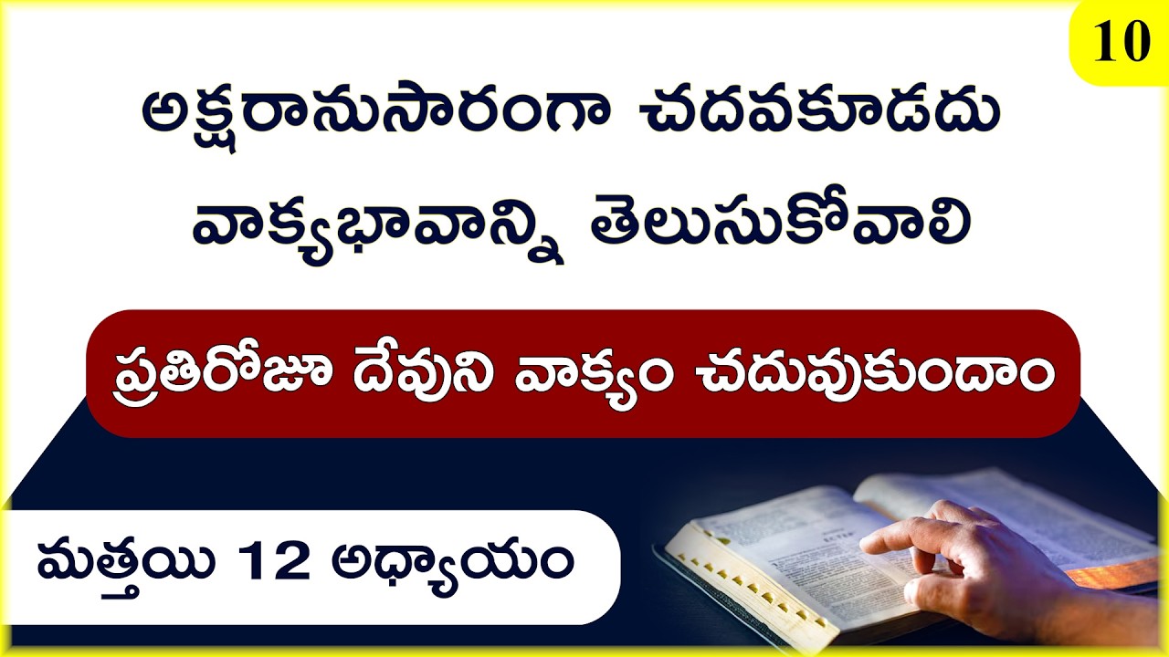 మత్తయి 12 అధ్యాయం | వాక్య భావాన్ని గమనించాలి | NT Bible Reading 10