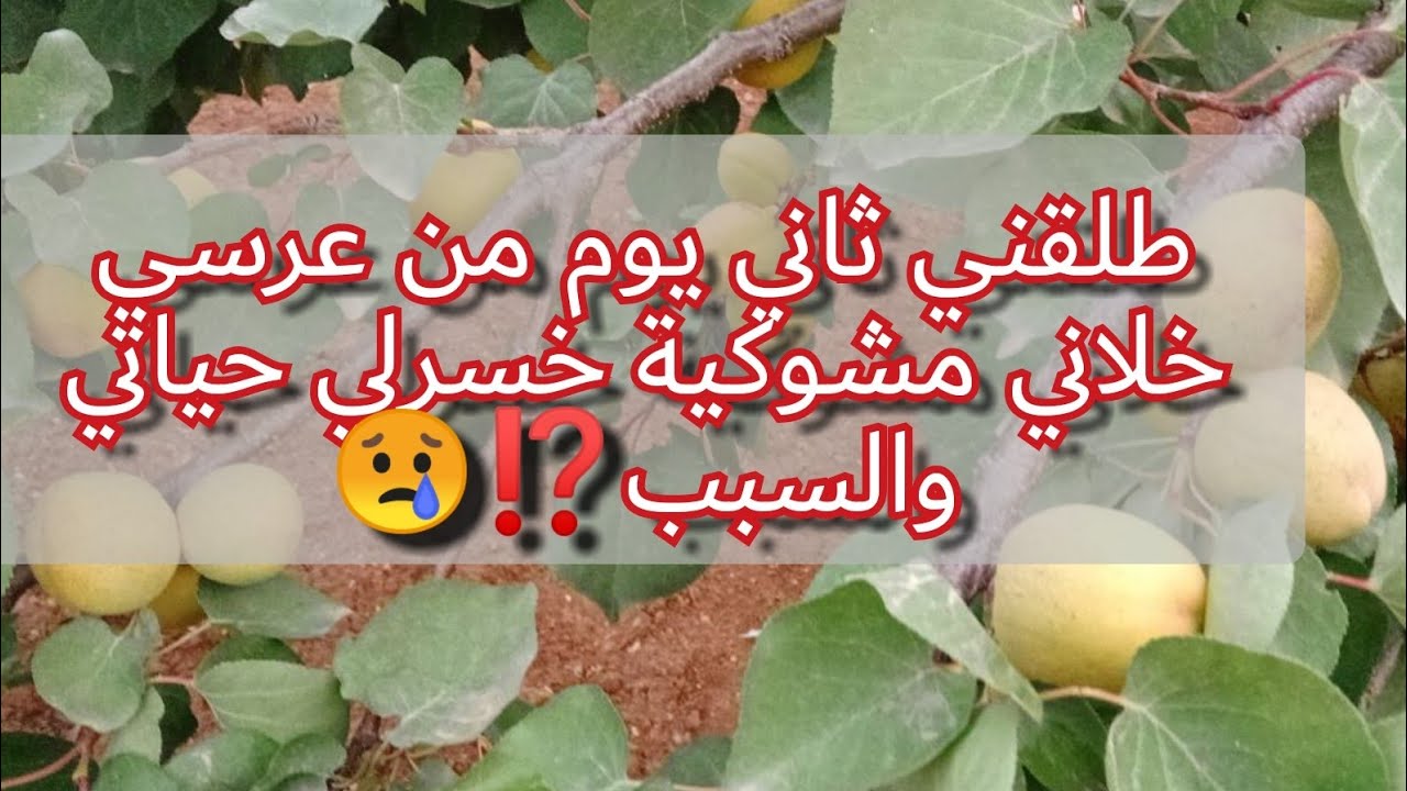 فسدلي حياتي ورماني رمية الكلاب ياااي على تامن اشباه الرجال😢😢قصتي عبرة للنسا كامل ولازم تسمعوها
