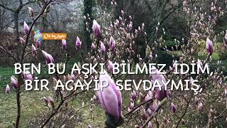 Ben Bu Aşkı Bilmez Idim, Bir Acayip Sevda Imiş… Mevlana Celalettin Rumi