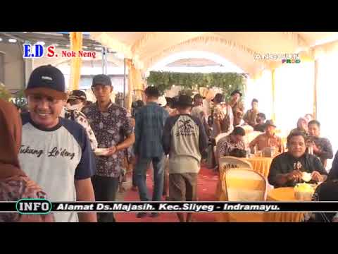 panas perih VOC Nok neng sagita manggung organ