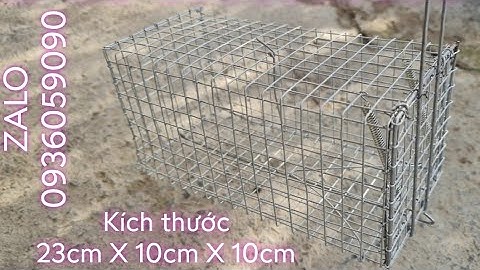 Bán bẫy sóc. Bán lồng bẫy chuột cống nhum. Bán lồng bẫy sóc. Bán bẫy chuột. Bán bẫy sóc bông.