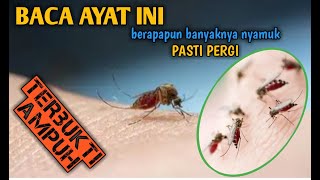 DOA PENGUSIR NYAMUK | Tanpa Obat Nyamuk