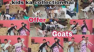 Aaj chance to chance ke kids hai colourfull male female hai Ajmera bade bakriya hai available Hyde 