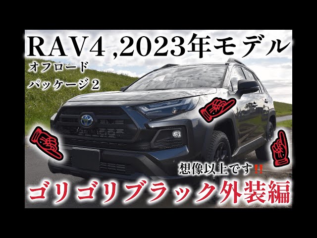 TOYOTA】【トヨタ】rav4アドベンチャーオフロードパッケージ2