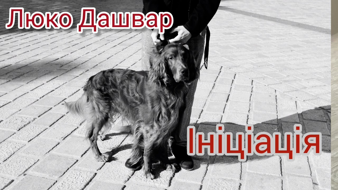 Люко Дашвар. Ініціація. Аудіокнига. Частина 1/5.