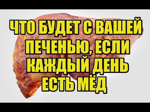 ЧТО ТВОРИТ МЁД С ВАШЕЙ ПЕЧЕНЬЮ, ЕСЛИ ЕГО ЕСТЬ КАЖДЫЙ ДЕНЬ