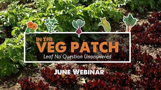 In The Veg Patch - June Webinar 2023