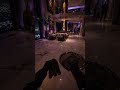 POV: You Clean a Famous Rapper's Mansion After Midnight 🧹